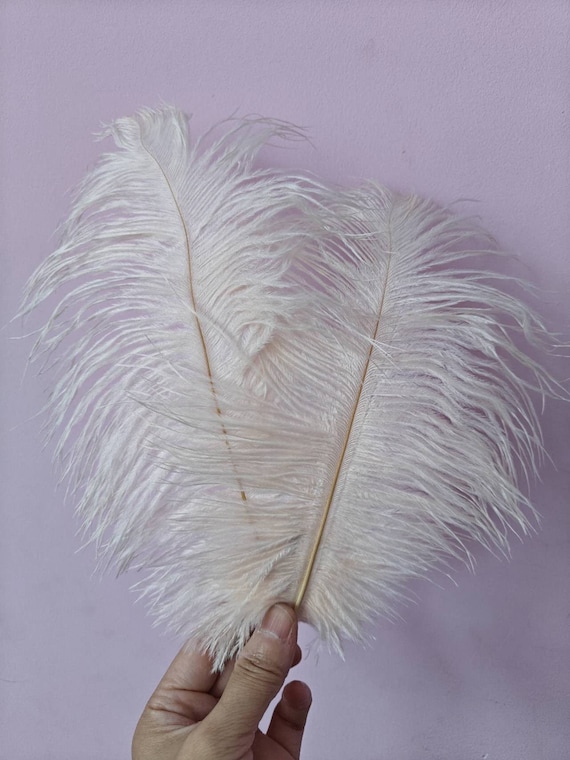 Feather Hair Clip White Costume Accessory Feather Hair Clip White Costume Accessory