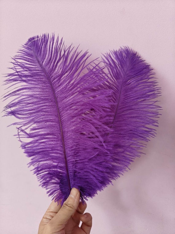 purple ostrich feather hair clip grip fascinator fancy dress hen party dance costume accessory