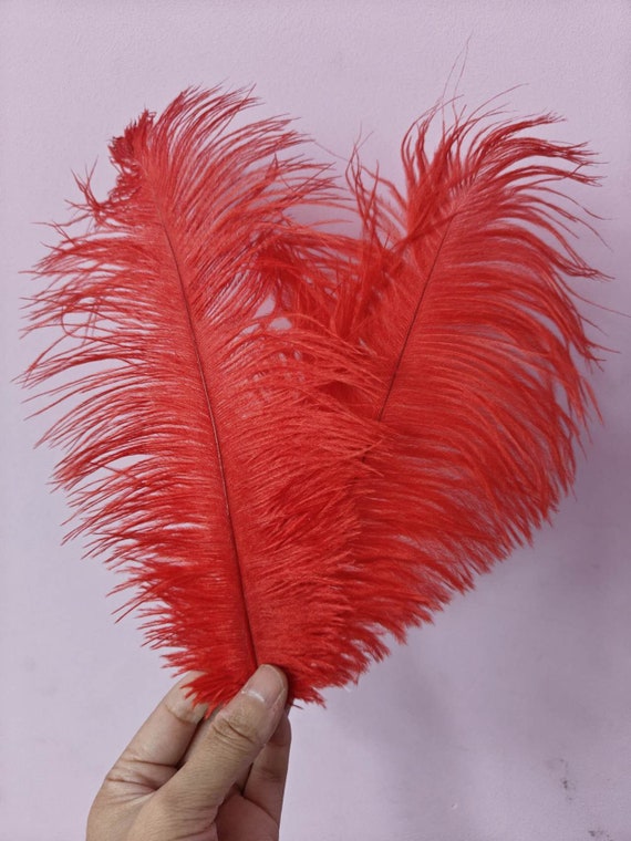 Feather Hair Clip Red Costume Accessory Feather Hair Clip Red Costume Accessory