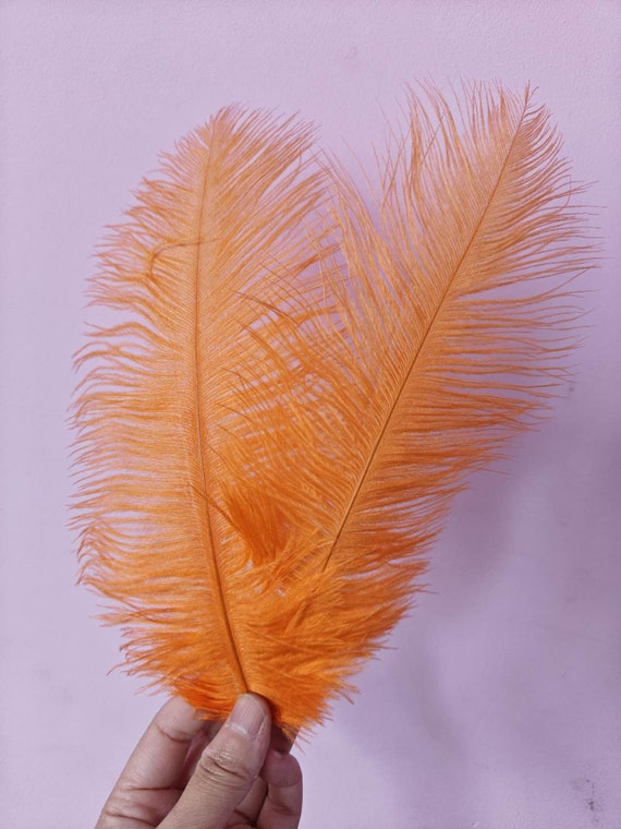 orange ostrich feather hair clip grip fascinator fancy dress hen party dance costume accessory