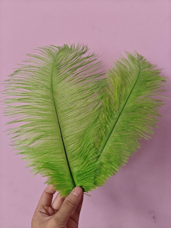 green ostrich feather hair clip grip fascinator fancy dress hen party dance costume accessory