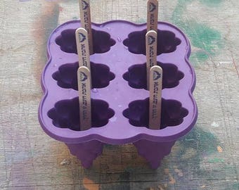 Preparation kit for popsicles