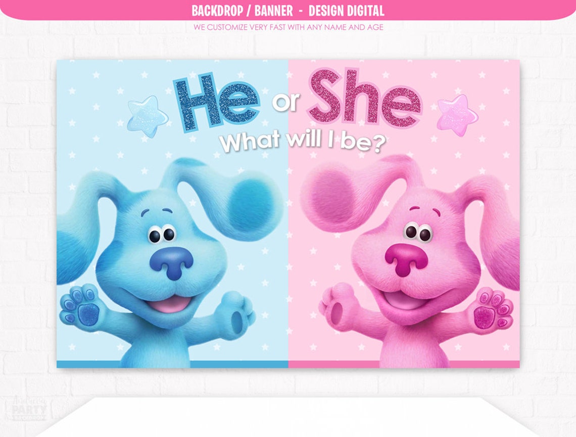 Blues Clues Gender Reveal Decorations Baby Girl or Baby Boy Etsy