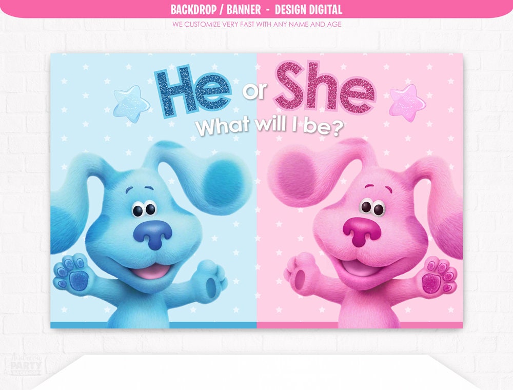 Blues Clues Gender Reveal Decorations Baby Girl or Baby Boy Etsy