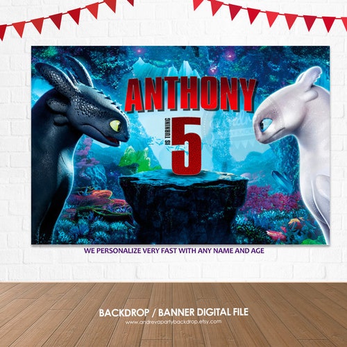 How to Train Your Dragon Birthday Invitation Digitalprint Etsy