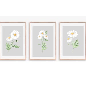 Grey Wall Art, Daisy Prints, Watercolour Floral Prints, Bedroom Wall Art, Kitchen Prints, Living Room Prints, SET of 3 Wall Art