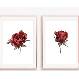 May include: Two framed art prints with watercolour paintings of red roses. One print shows a fully bloomed rose, the other a rose bud. The artwork has a white background and is framed in a rose gold colour.