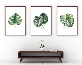 May include: Three framed prints of watercolour paintings of monstera leaves. The prints are hung on a white wall above a dark brown wooden table with a white orchid plant in a white pot.