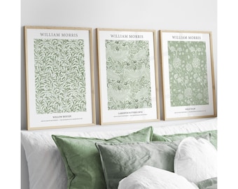 SET OF 3 UNFRAMED Flower Market Prints, Sage Green Botanical Wall Art ...