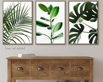 Leaf Wall Art, Leaf Prints, Botanical Art, SET OF 3 Green Prints, Photography Posters, Monstera Leaves, Plants Bedroom, Living Room Prints