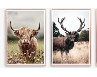 Highland Animal Prints, Set of 2 Photographic Posters, Living Room Print, Bedroom Bathroom Pictures, Stag, Highland Cow