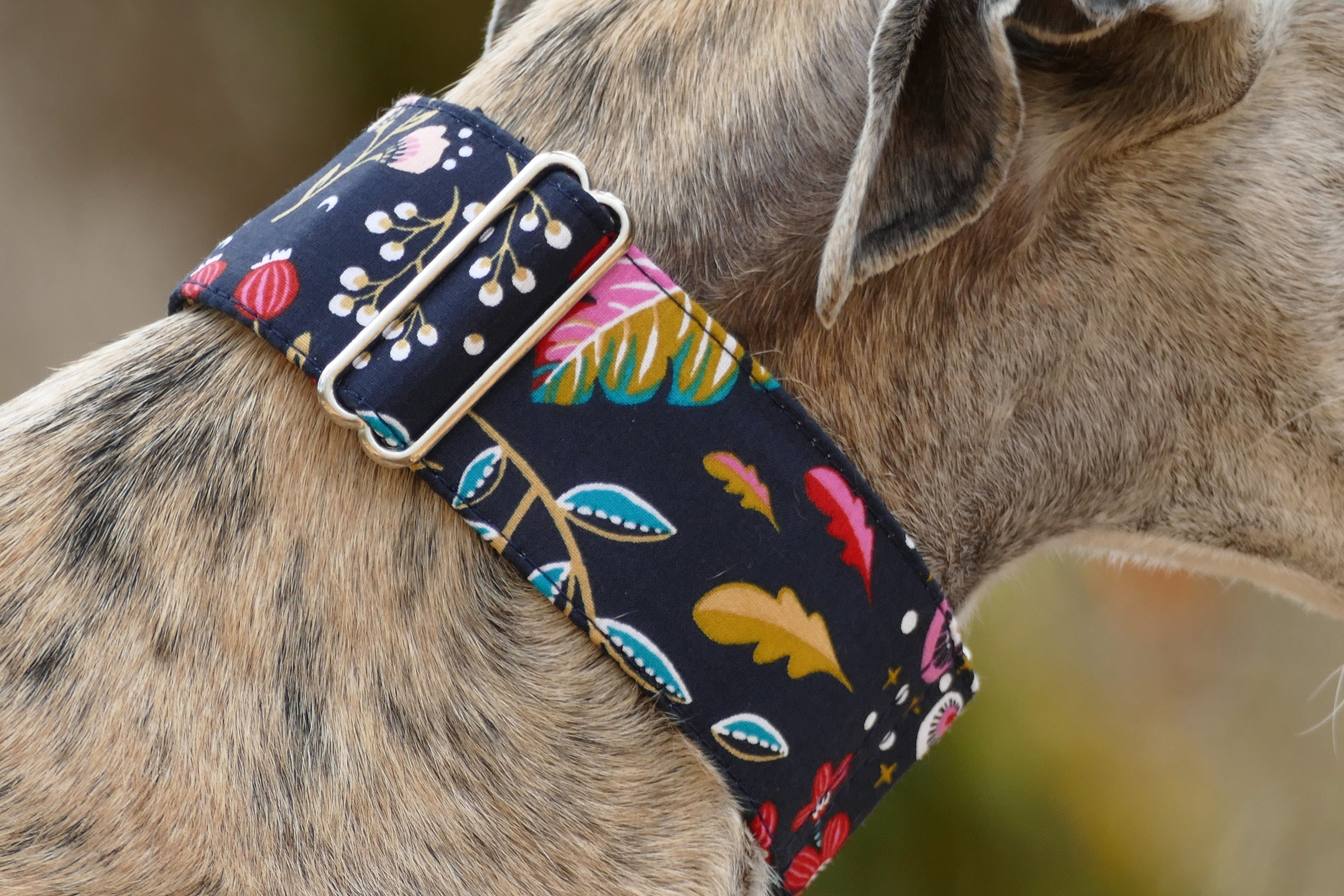 Collier Pour Chiens Réglable, Martingale ou Clip, Lévrier, Galgo, Whippet, Greyhound, Podenco, Lurch