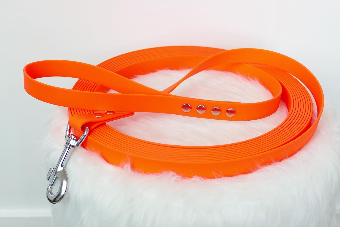 Longes Tpu Pour Chiens et Poignées Amovibles