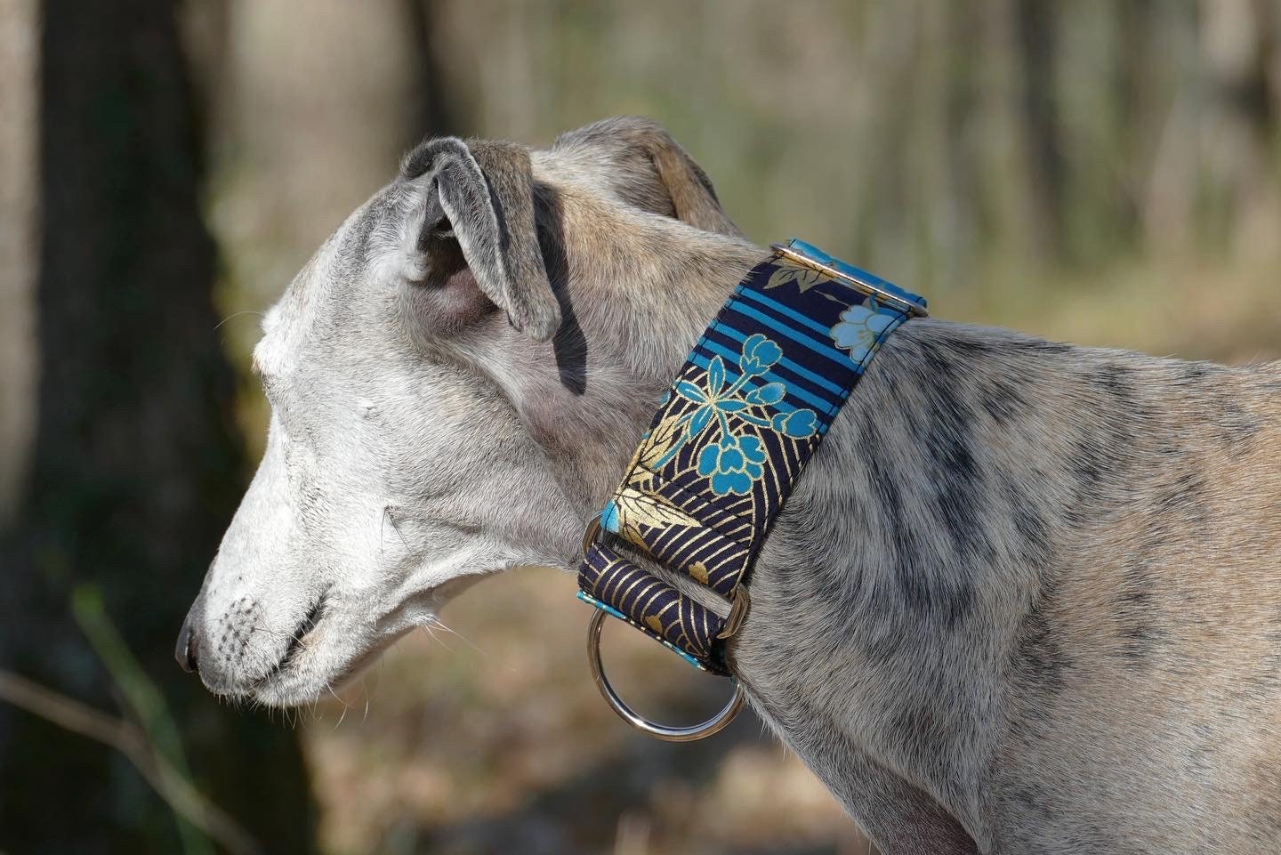 Collier Pour Chiens Réglable, Martingale ou Clip, Tissu Japonais, Motif Traditionnel Seigaiha