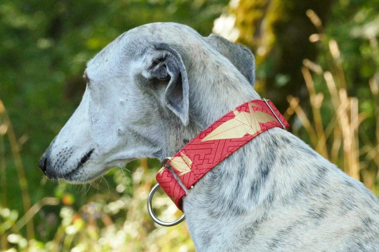 Collier en Brocart Pour Chiens Réglable, Martingale ou Clip, Tissu Japonais, Origami