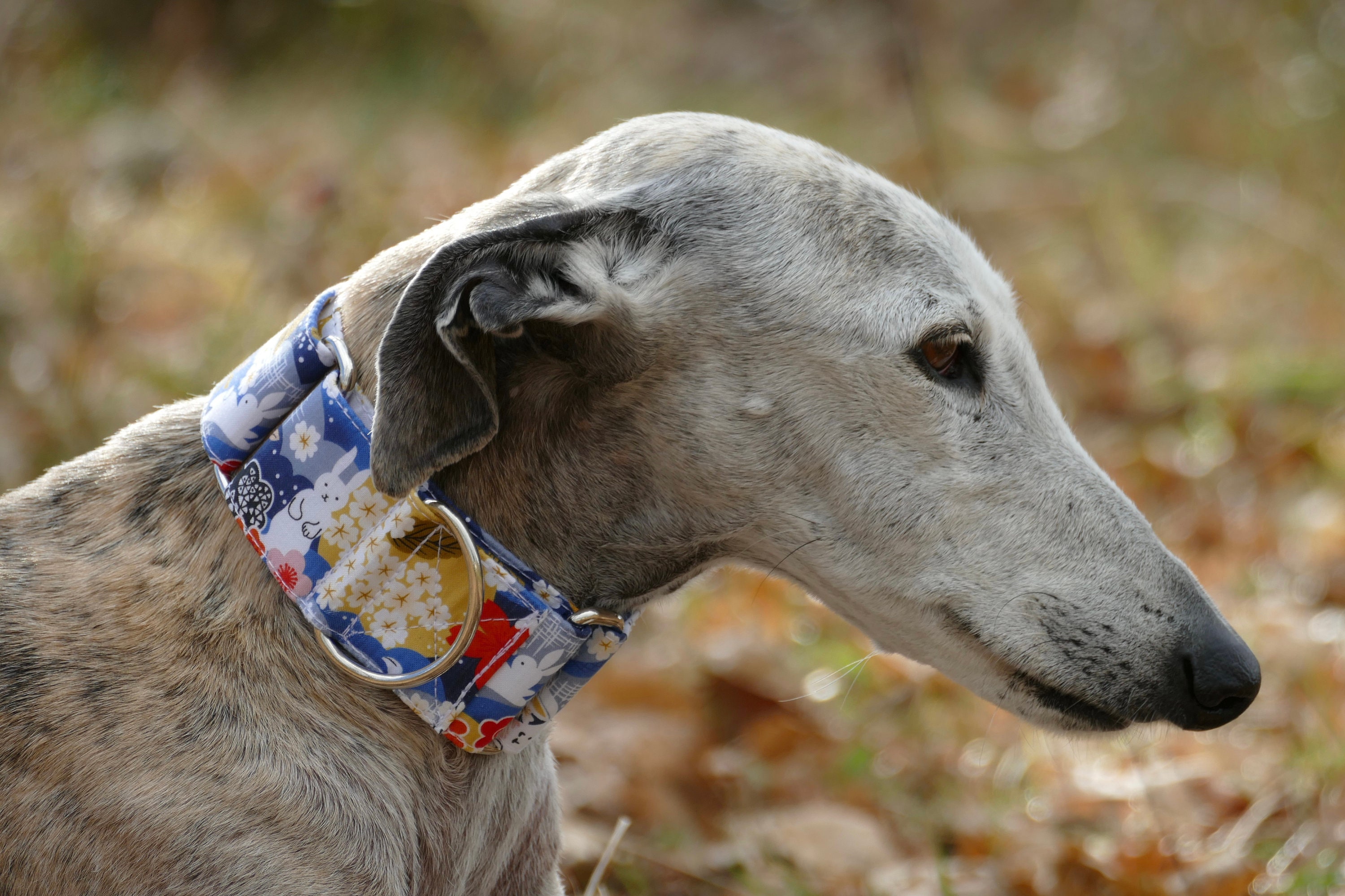 Collier Pour Chiens Réglable, Martingale ou Clip, Tissu Japonais, Lapins, Shiba, Akita