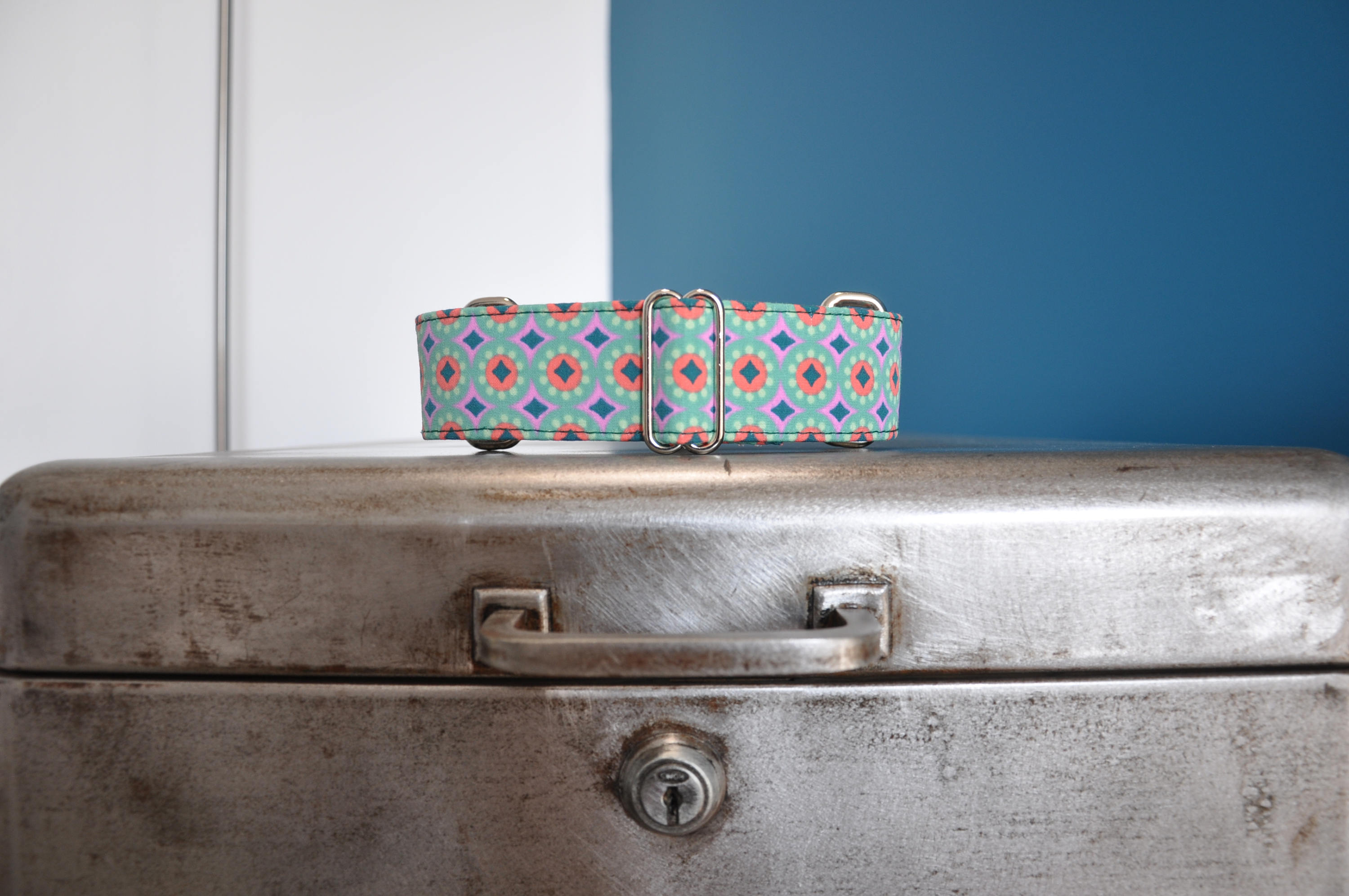 Collier Pour Chiens, Martingale ou Clip, Lévrier, Galgo, Whippet, Greyhound, Podenco, Lurcher, Saluk