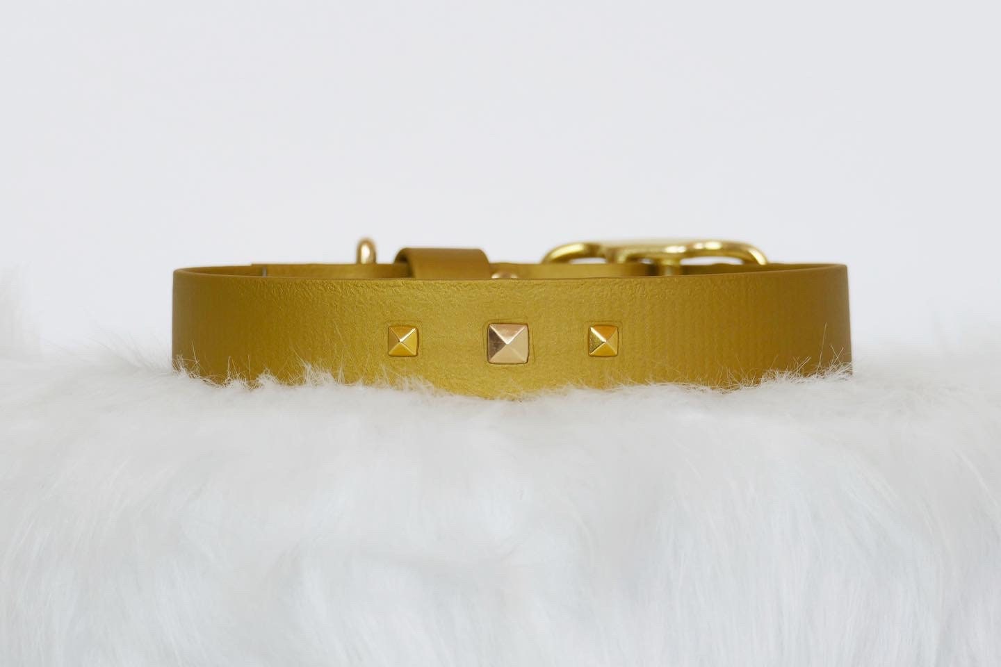 Collier Pour Chien en Biothane, Modèle Trilogy, 19 mm et 25 mm