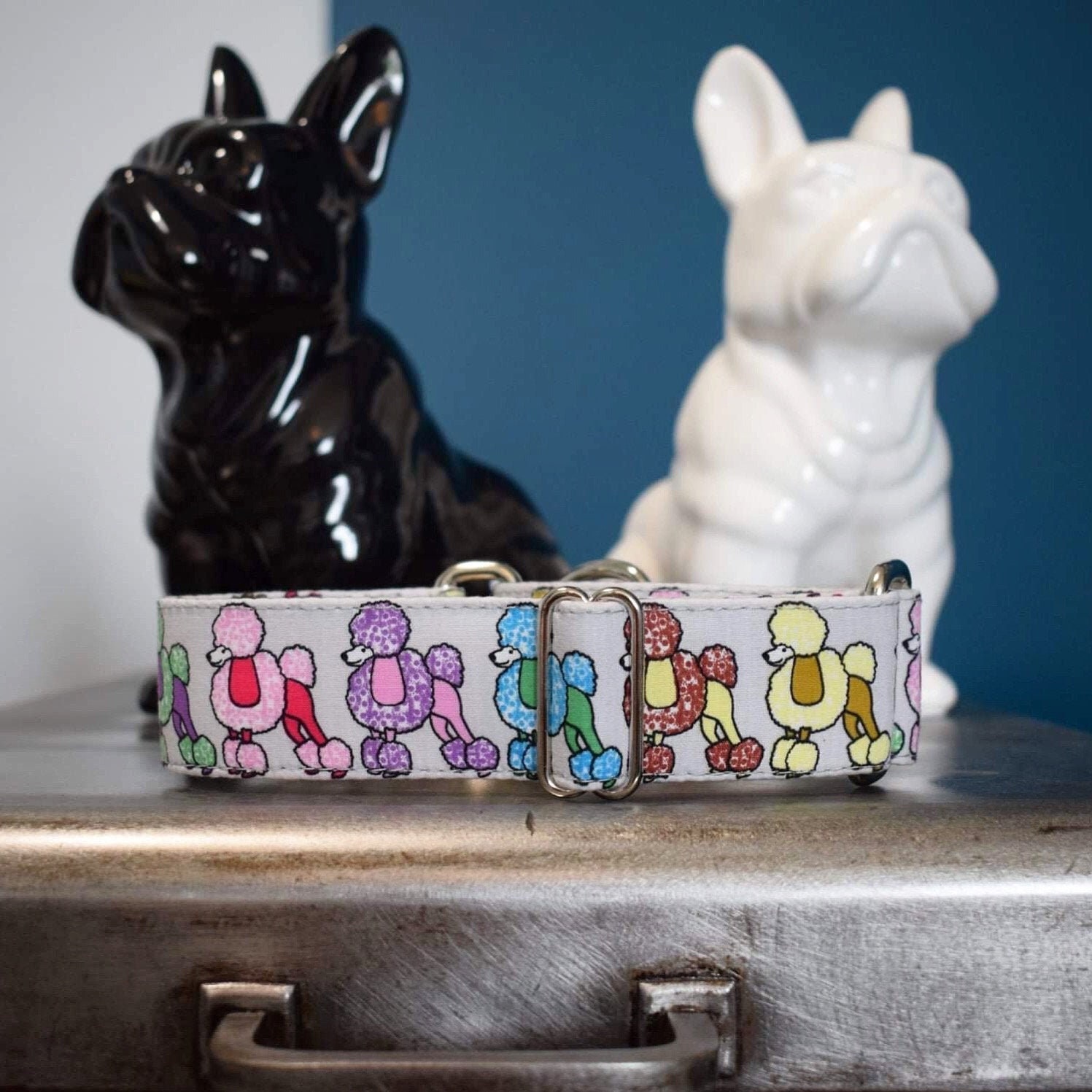 Collier Pour Chiens, Martingale ou Clip, Lévrier, Caniche, Galgo, Whippet, Greyhound, Podenco, Lurch