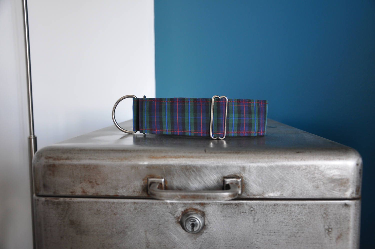 Collier Pour Chiens, Martingale ou Clip, Lévrier, Carreau, Écossais, Hipster, Galgo, Whippet, Greyho