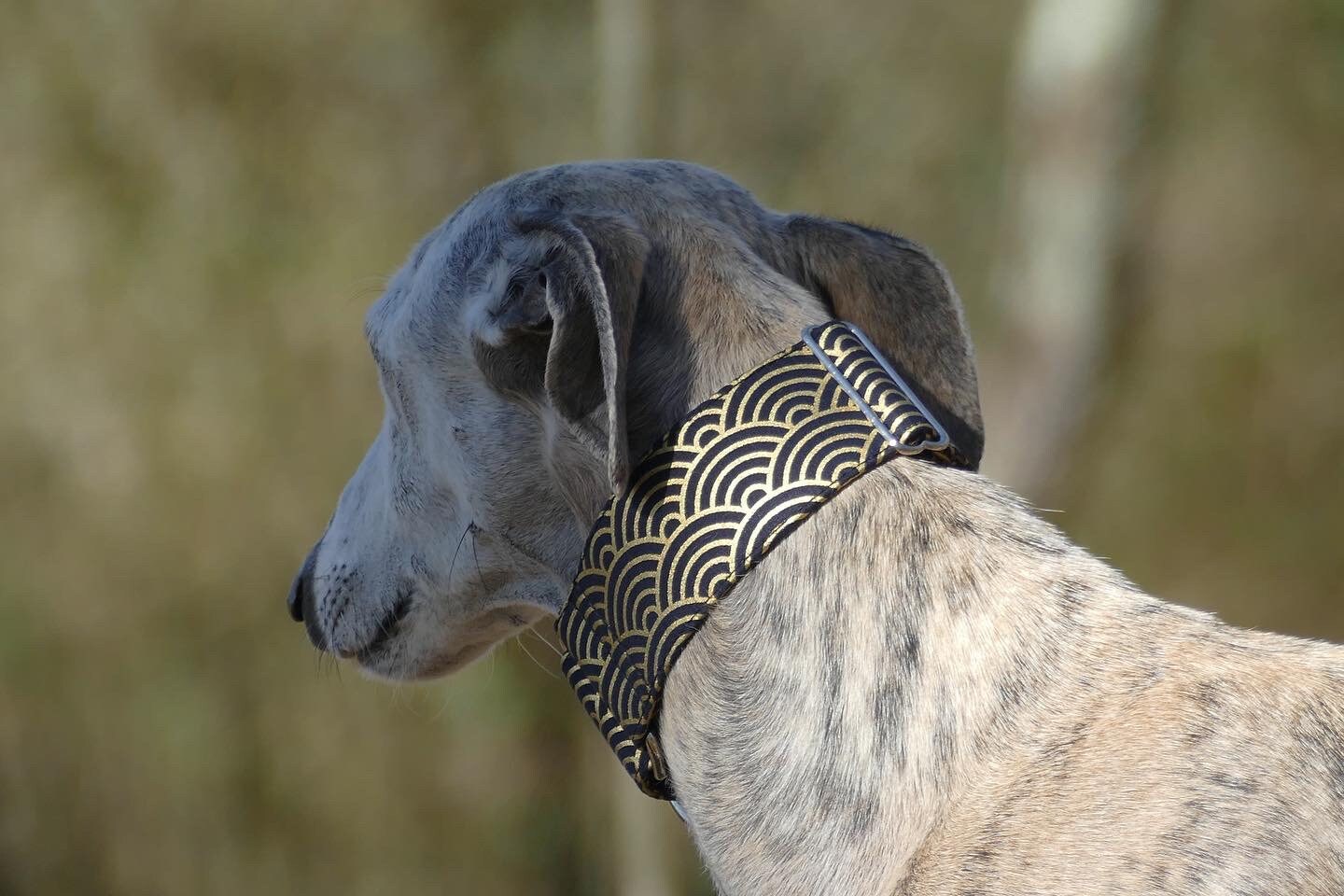 Collier Pour Chiens Réglable, Martingale ou Clip, Tissu Japonais, Motif Traditionnel Seigaiha