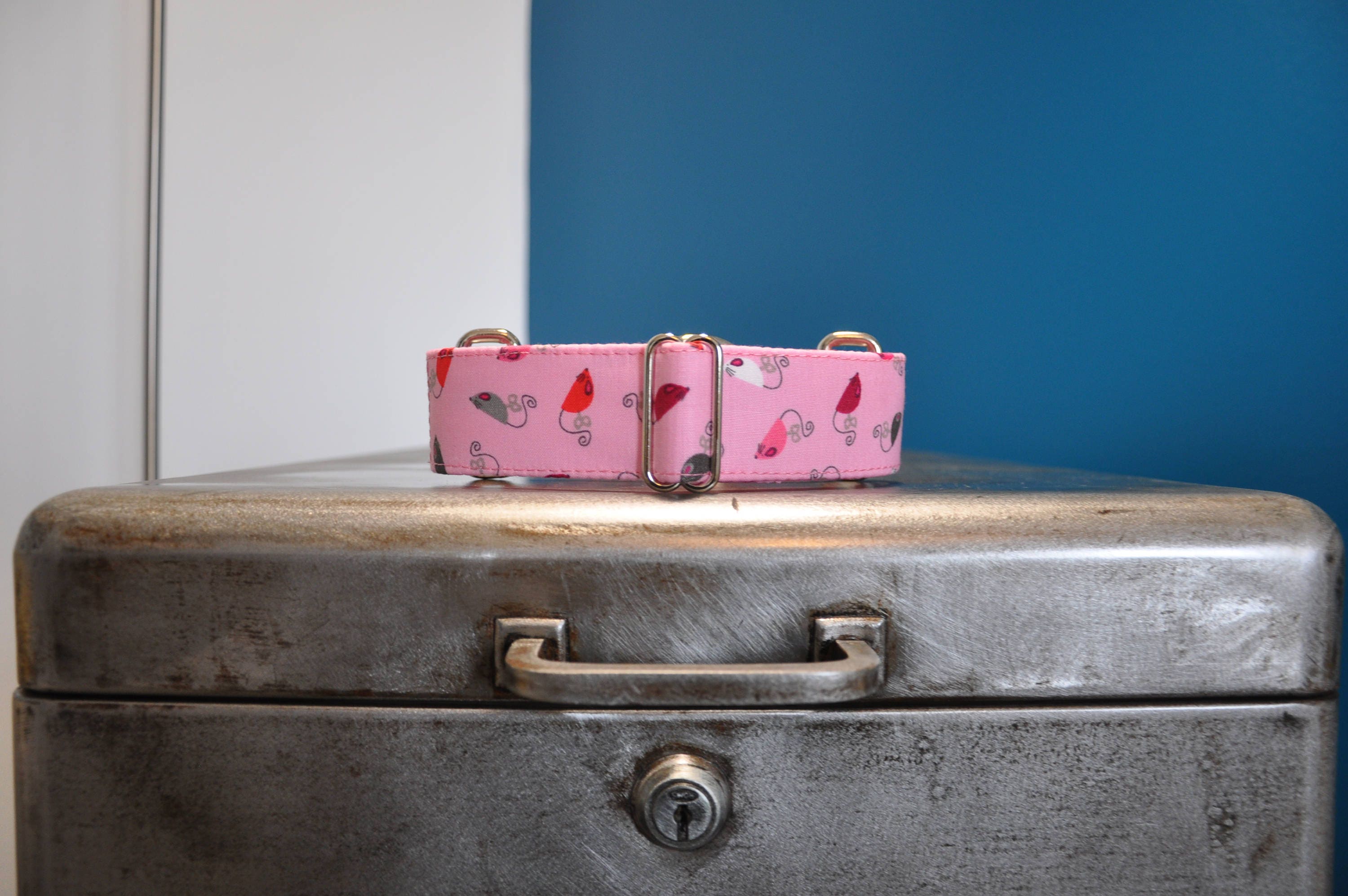 Collier Pour Chiens, Martingale ou Clip, Lévrier, Souris, Galgo, Whippet, Greyhound, Podenco, Lurche