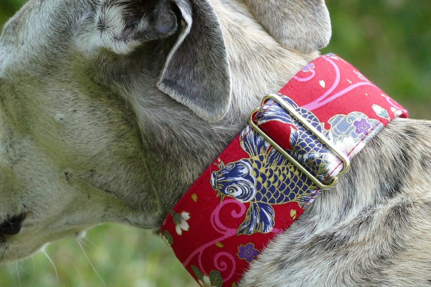 Collier Pour Chiens Réglable, Martingale ou Clip, Tissu Japonais, Carpe Koï