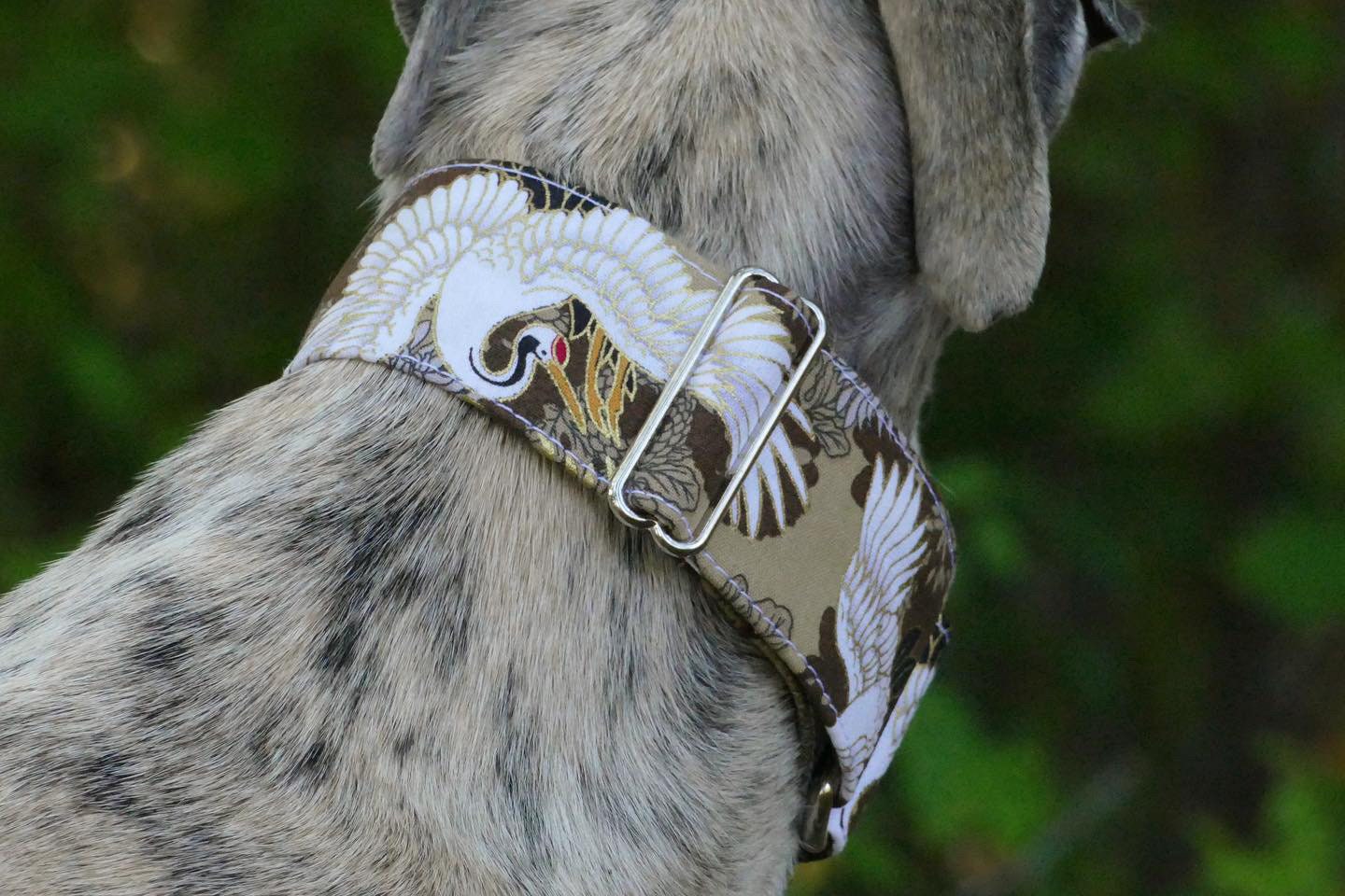Collier Pour Chiens Réglable, Martingale ou Clip, Tissu Japonais, Lévrier, Galgo, Whippet, Greyhound