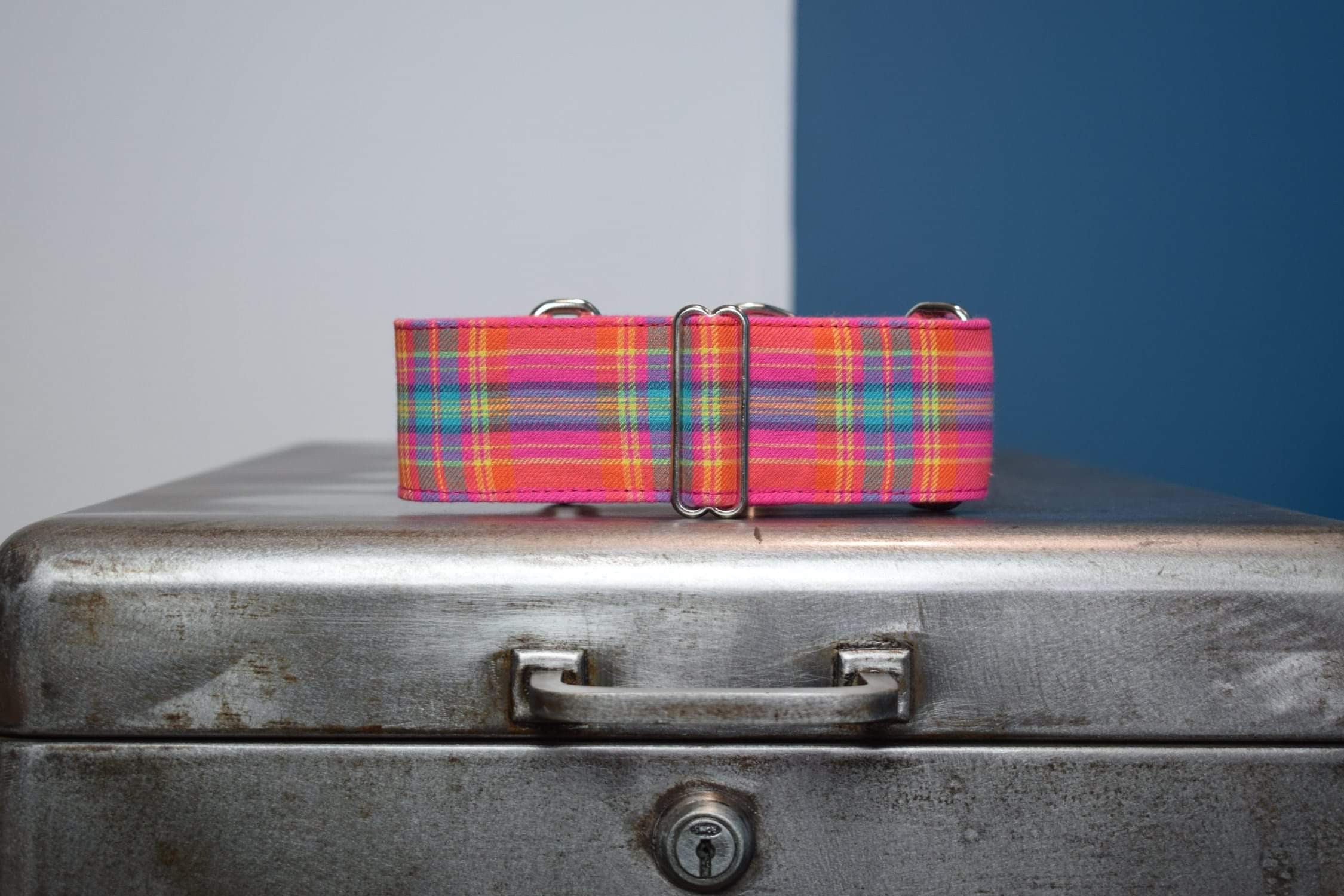 Collier Pour Chiens, Martingale ou Clip, Lévrier, Carreau, Écossais, Hipster, Galgo, Whippet, Greyho