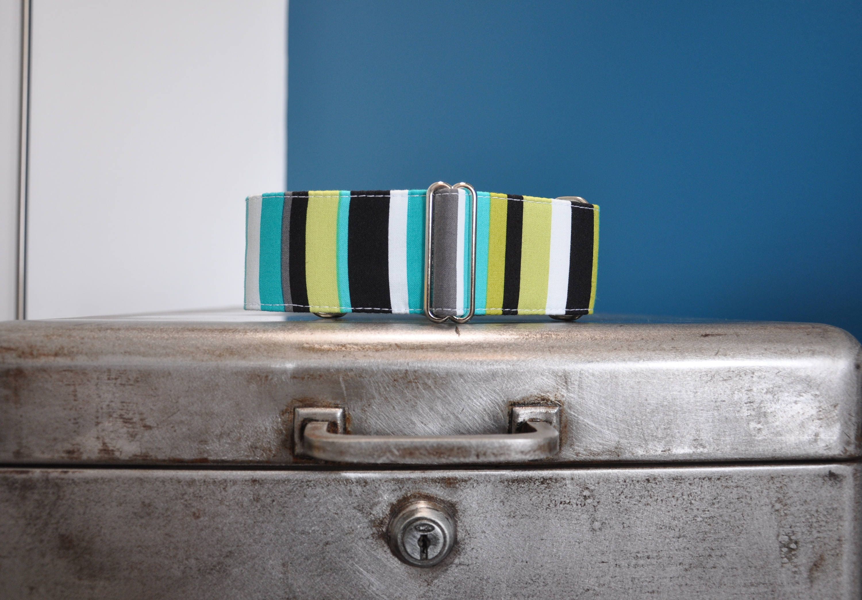 Collier Pour Chiens, Martingale ou Clip, Lévrier, Rayé, Galgo, Whippet, Greyhound, Podenco, Lurcher,