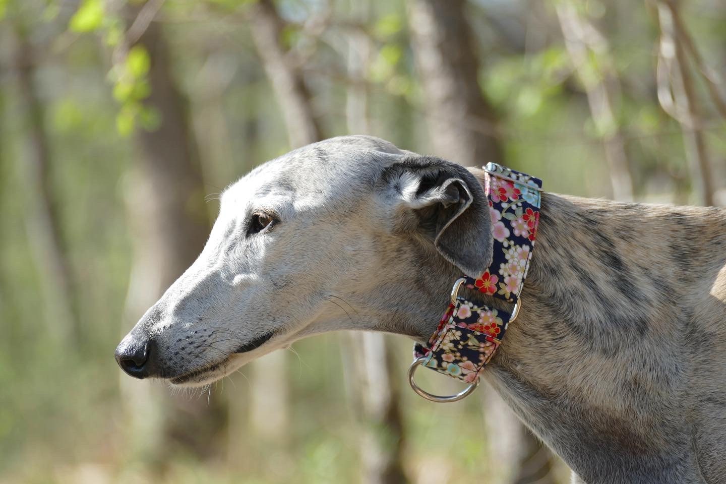 Collier Pour Chiens Réglable, Martingale ou Clip, Tissu Japonais Fleuri