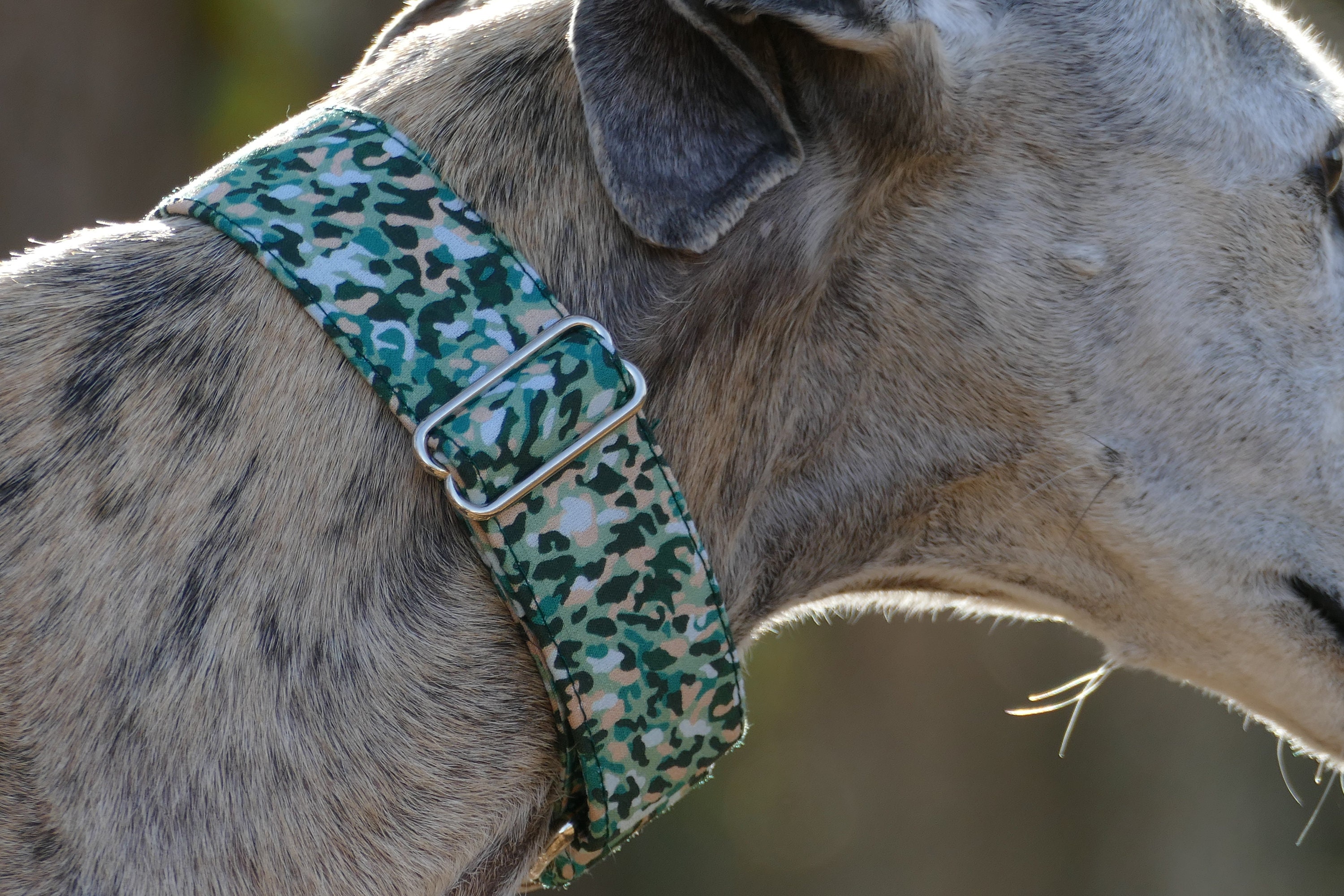 Collier Pour Chiens Réglable, Martingale ou Clip, Lévrier, Galgo, Whippet, Greyhound, Podenco, Lurch