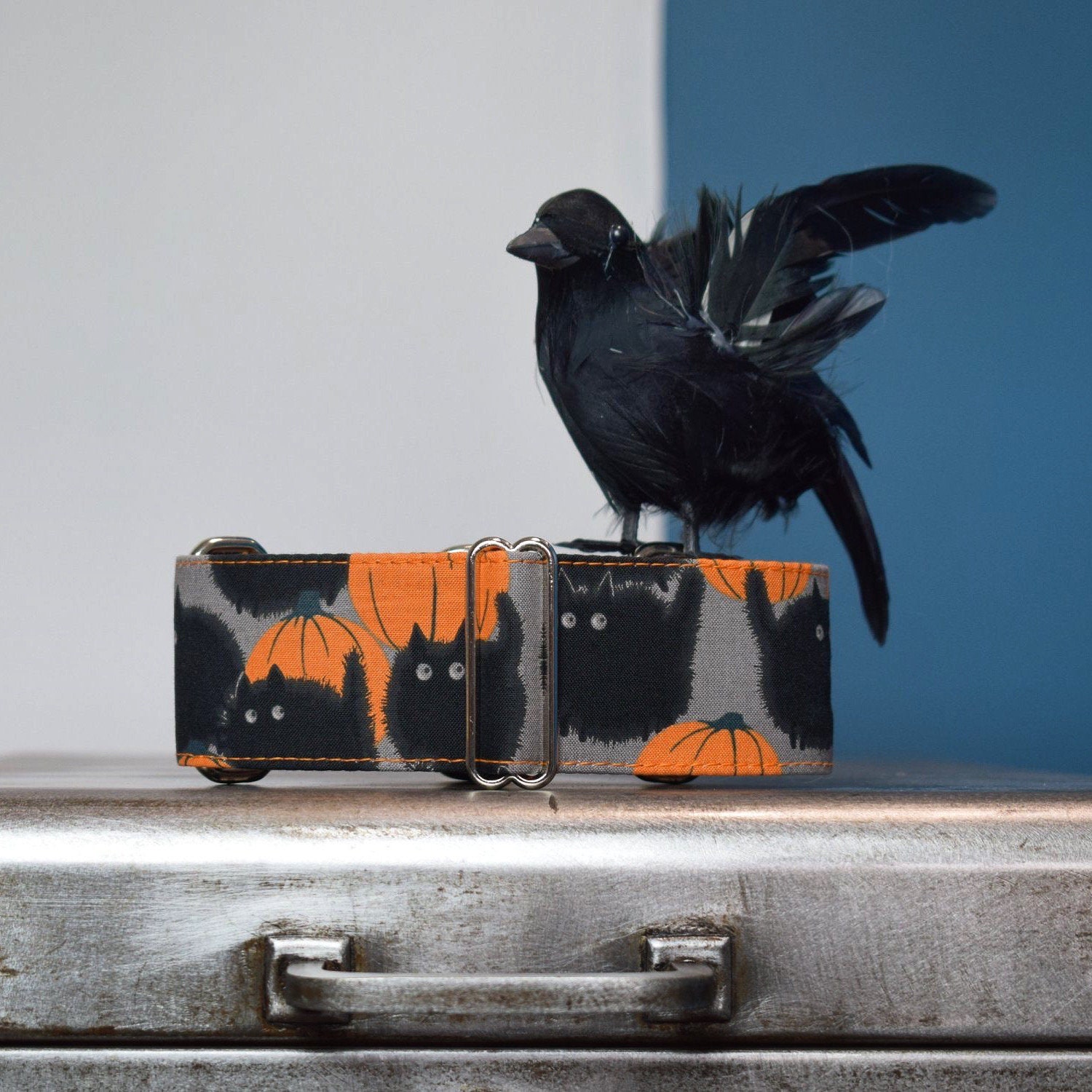 Collier Pour Chiens Réglable, Martingale ou Clip, Lévrier, Halloween, Chat Noir, Citrouille