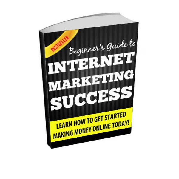 Beginner's Guide To Internet Marketing Success - Make Money Online Ebook