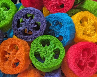 Colored Loofah Slices - Thick, Uniform and Clean - Pet Toy Parts - Natural Foraging