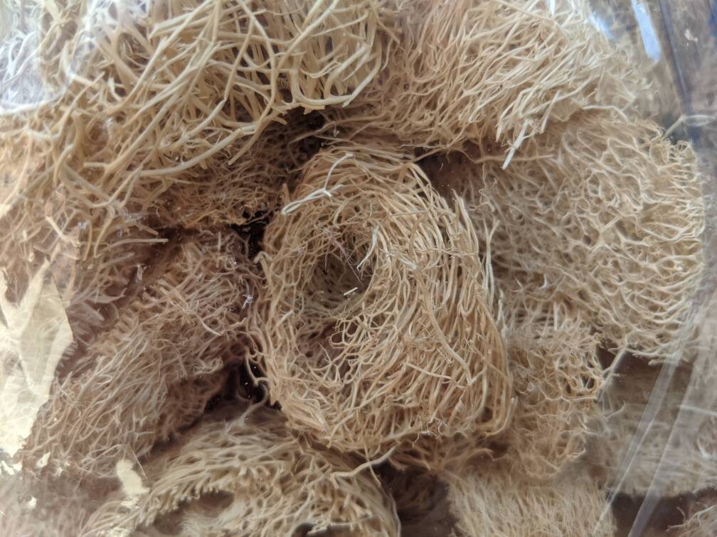 Mixed Bag of Loofah Pieces Bird Toy Part Guinea Pig Small Etsy