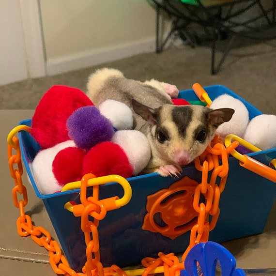 Sugar Glider Ball Pit Swing Etsy