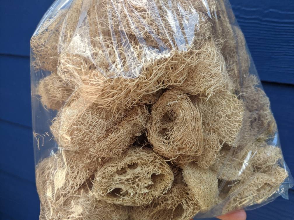 Mixed Bag of Loofah Pieces Bird Toy Part Guinea Pig Small Etsy