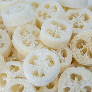 May include: Close-up of a pile of natural, off-white loofah sponges. The sponges are circular, with a porous, fibrous texture and a central hole. They are stacked together, creating a textured, organic pattern. These are often used for exfoliating the skin.