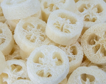 Natural Loofah Slices - Thick, Uniform and Clean