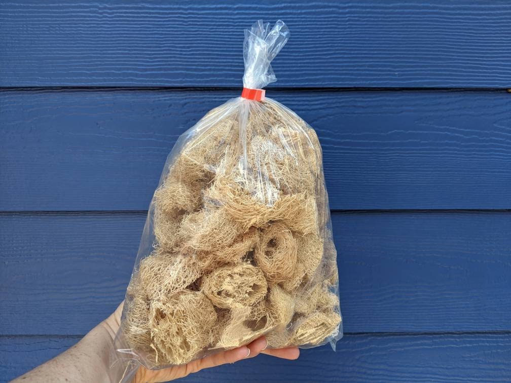 Mixed Bag of Loofah Pieces Bird Toy Part Guinea Pig Small Etsy