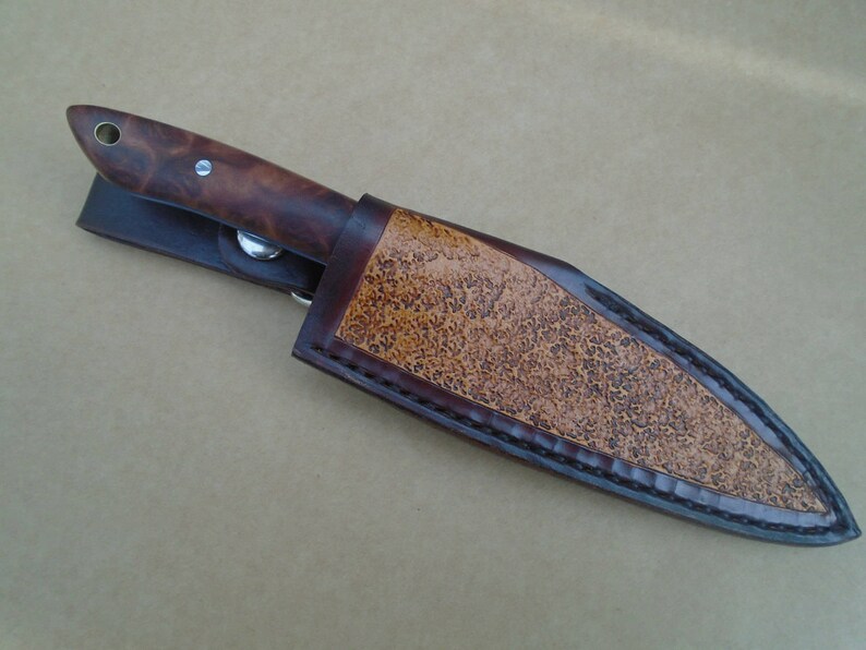 Every Day Carry Knife Australian Burl Wood and Stainless Etsy