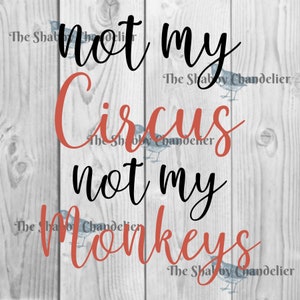 Niet mijn Circus niet mijn Monkeys