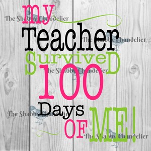 Mi profesor sobrevivió 100 días de mí