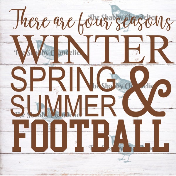 Four Seasons. Winter, Spring, Summer and Football
