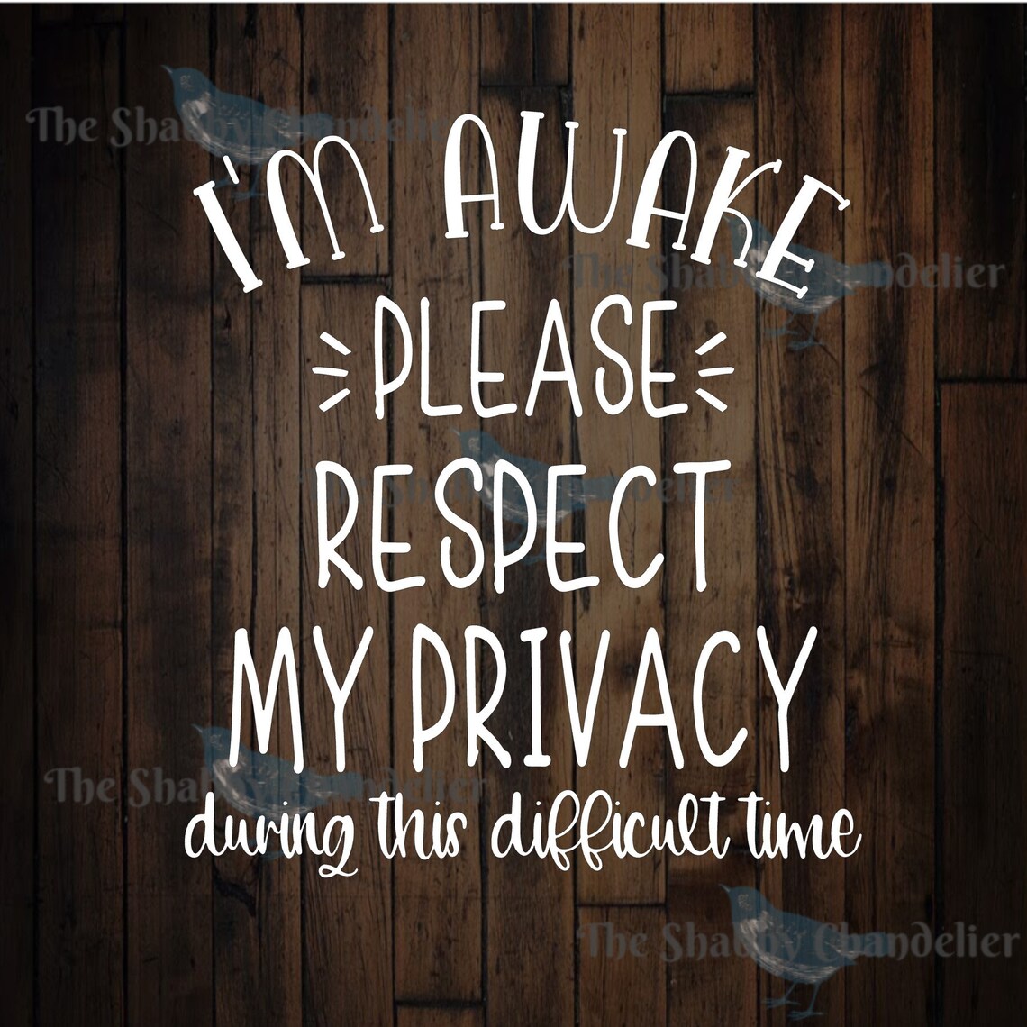 I'm Awake Please Respect My Privacy During This Difficult Etsy