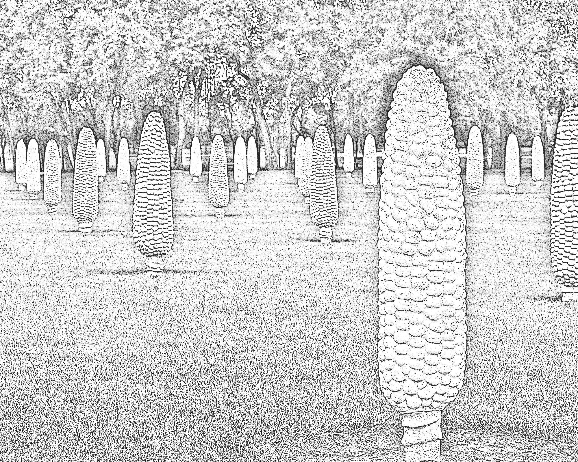 Field of Corn Dublin Ohio Art Print Dublin Ohio Outdoor Etsy