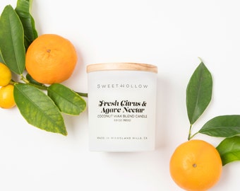 Citrus Scented Candle | Orange Scented Candle for Home | Highly Scented & Long Lasting Coconut Wax Luxury Candle