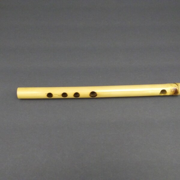 Prehistoric Style Pentatonic Flute