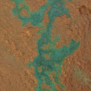 May include: Abstract painting with a brown background and a green, flowing design.